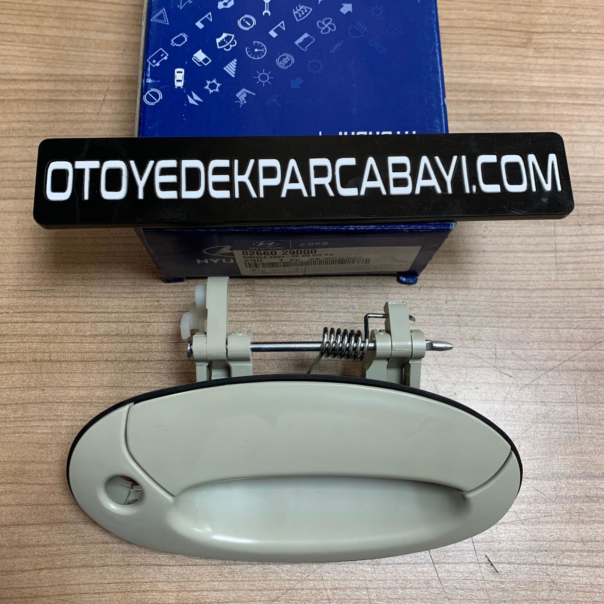 Hyundai Elantra Dış Kapı Kolu Sağ (82660-29000)