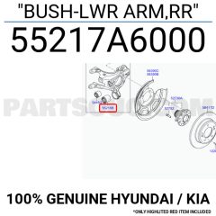 ARKA TAŞIYICI ALT BÜYÜK BURÇ 55217-A6000