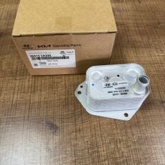 KİA HYUNDAİ DİZEL ENJEKTÖR 264102A300